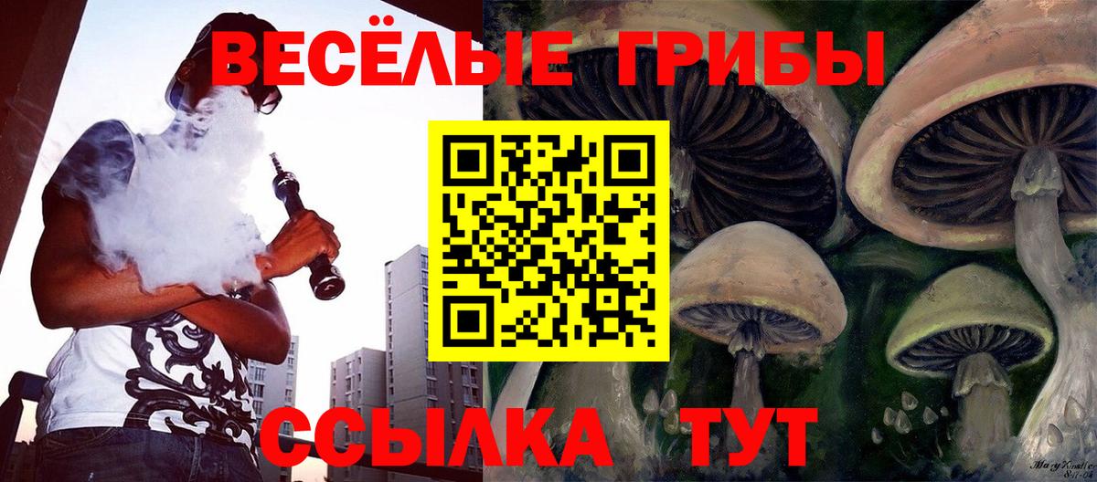 хочу   Вход с VPN  Чайковский  Псилоцибиновые грибы мицелий 