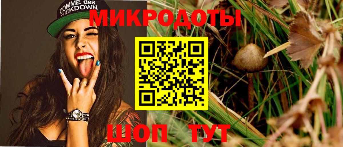 Псилоцибиновые грибы мицелий Чайковский